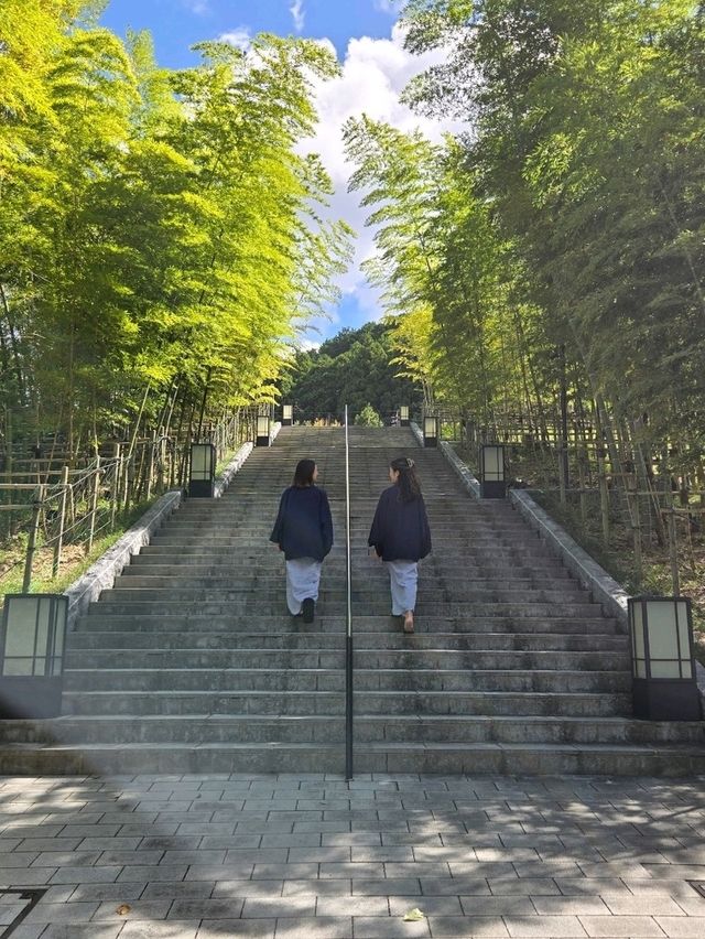 【長門湯本温泉】竹林の階段