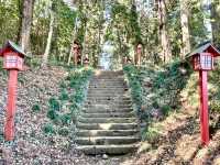 【栃木県】亀だらけの神社