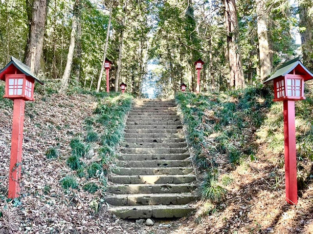 【栃木県】亀だらけの神社