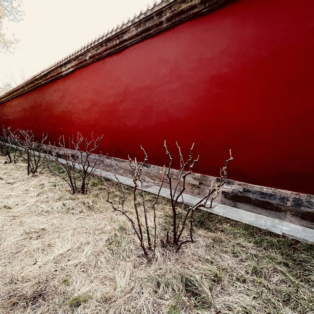 來北京中山公園賞春花美景～醉遊人