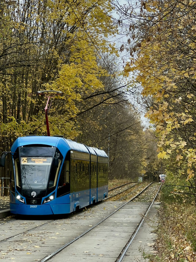 Autumn in Moscow: A Tram Ride to Sheremetyevskaya Dubrava Park 