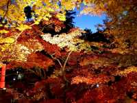 Fall colours at Yahiko Park, Niigata