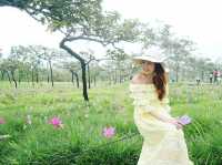 อุทยานแห่งชาติป่าหินงาม