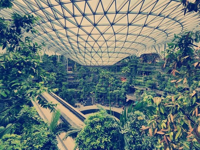 轉機快閃新加坡🎉 充實但意猶未盡的旅行
