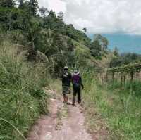 living the slow life with plantation and farms in Janda Baik