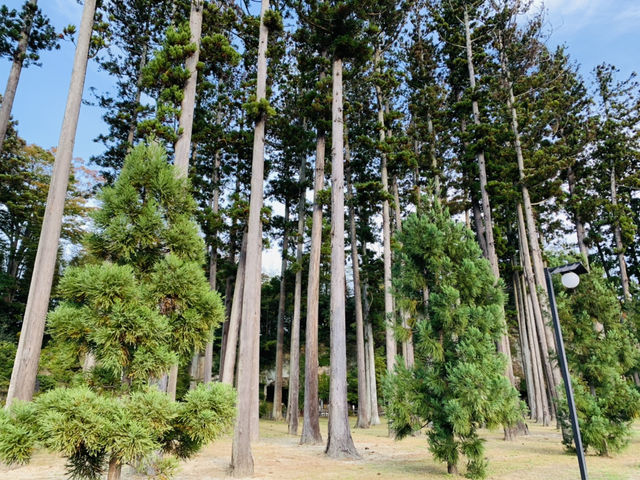 松島　瑞巌寺