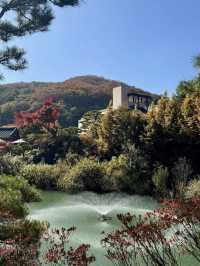 🍁고즈넉한 오솔길을 따라 단풍의 향연을 감상할 수 있는 ✨가을 여행지 추천 🍁