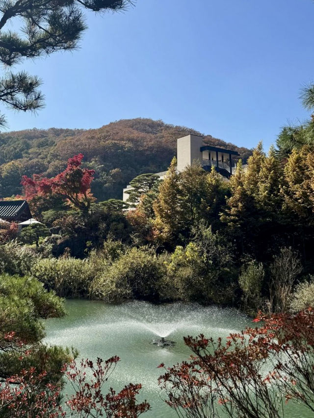 🍁고즈넉한 오솔길을 따라 단풍의 향연을 감상할 수 있는 ✨가을 여행지 추천 🍁
