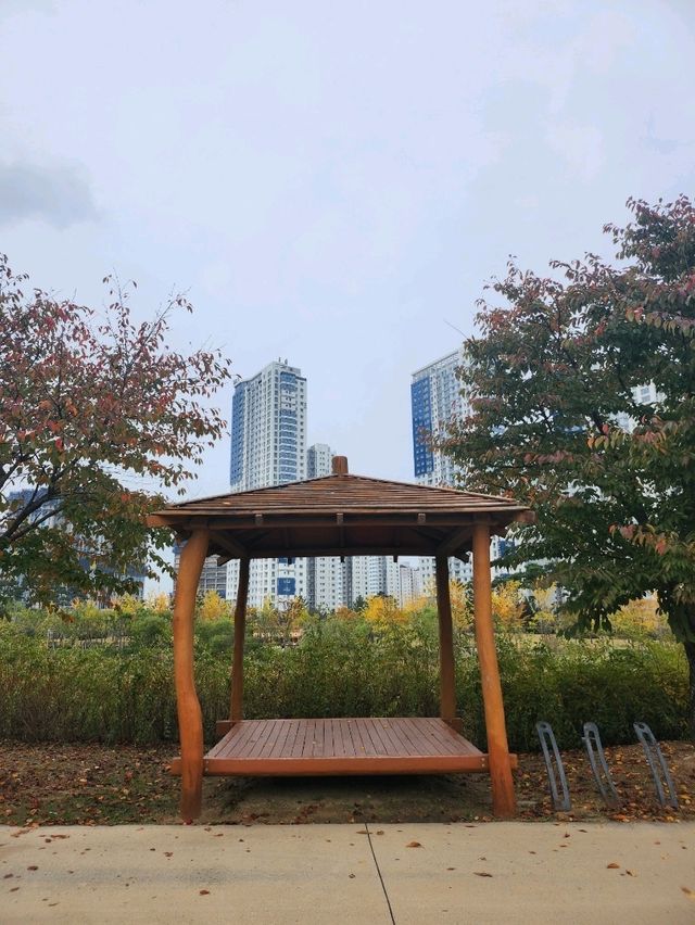 가을 낙엽 떨어지는 소리를 느낄수 있는 청라호수공원😍