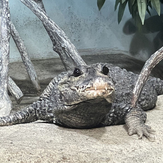 アクア・トトぎふ