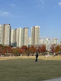 아이들과 함께 뛰어놀기 좋은 동탄호수공원🌳💚