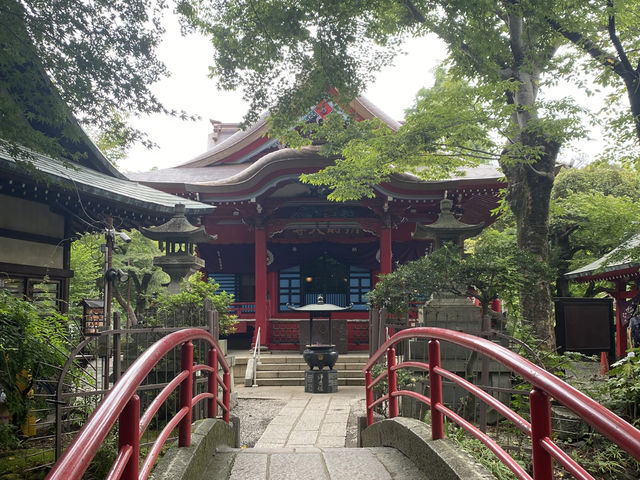 【吉祥寺🇯🇵】井の頭恩賜公園🦢🌳