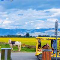Yunnan China 