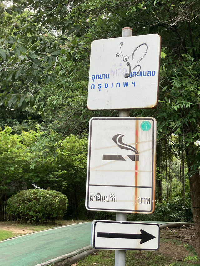 Bangkok’s fairytale butterfly garden 