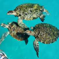 Sun, Sea, and Snorkeling: My Unforgettable Redang Island Getaway!