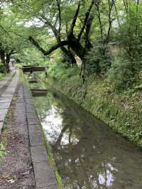 【京都　東山区　おでかけ記録】
