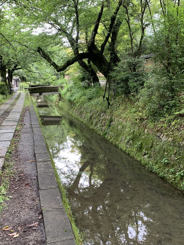 【京都　東山区　おでかけ記録】