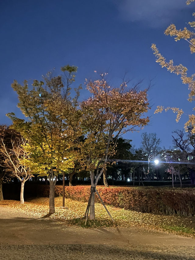 부산의 센트럴 파크 부산시민공원🌿🌳🍂🍁단풍구경하기 좋아요! 