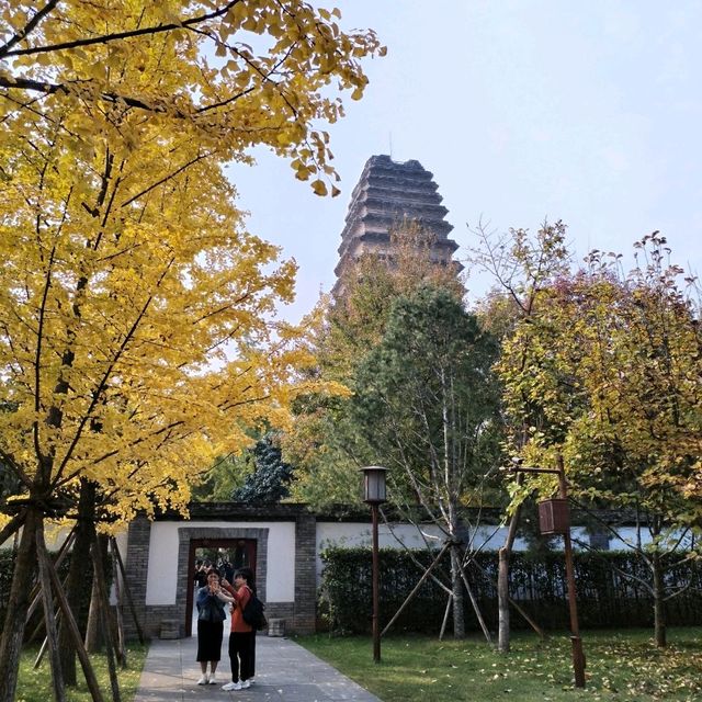 Small wild goose pagoda