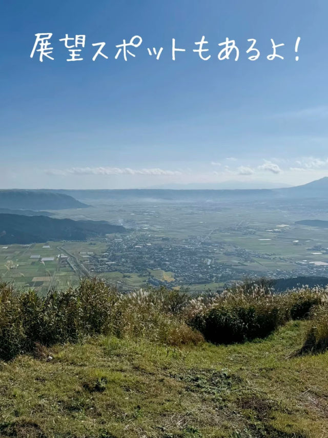 秋の熊本　阿蘇のススキの迷路