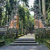 Sangeh Monkey Forest: A Tranquil Haven for Nature Lovers