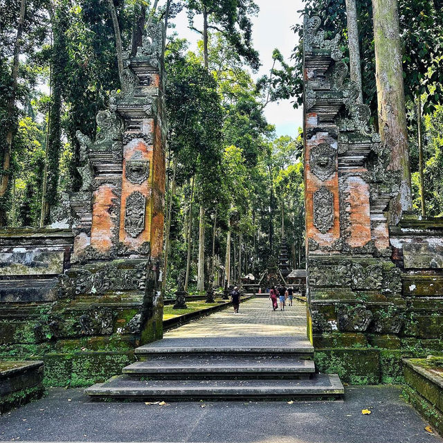 Sangeh Monkey Forest: A Tranquil Haven for Nature Lovers