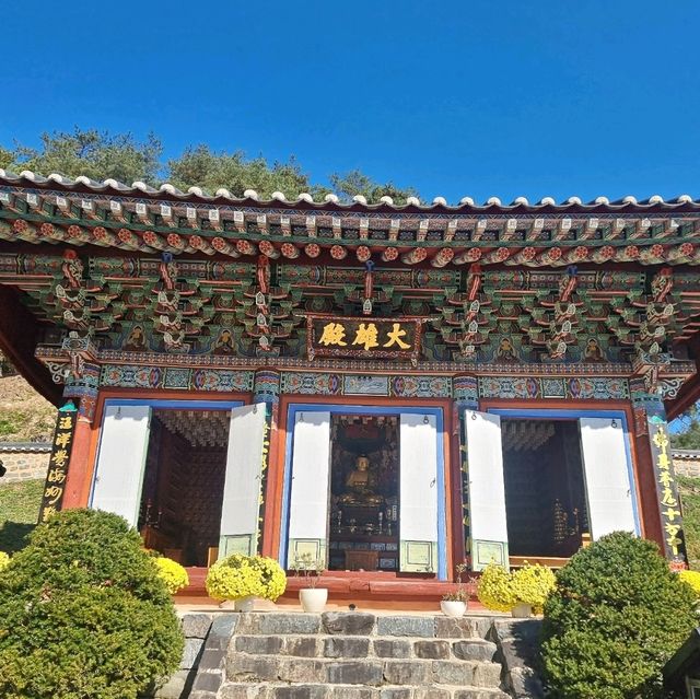 신령한 천년의 은행나무 내년을 기약하며..