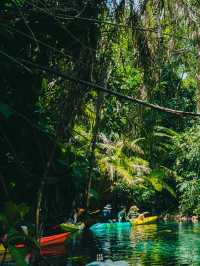🏞️ พายคายัคสัมผัสธรรมชาติของคลองน้ำใส