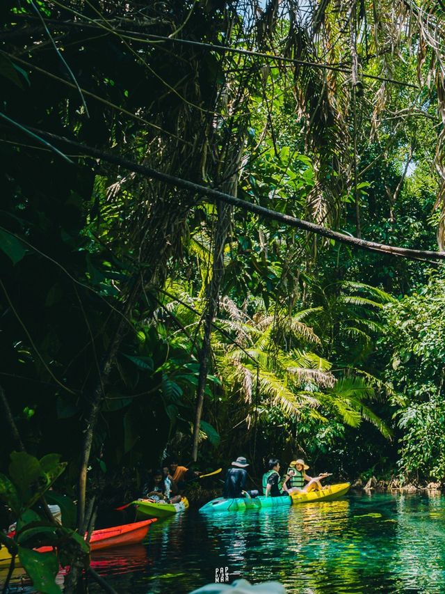 🏞️ พายคายัคสัมผัสธรรมชาติของคลองน้ำใส