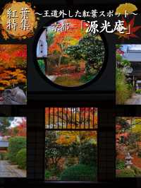 【紅葉特集】窓越しに見る紅葉🍁「そうだ 京都、行こう。」の舞台にもなった禅を感じるスポット✨