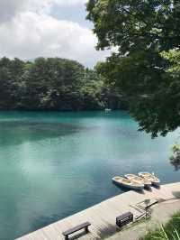 【福島　おでかけ記録】