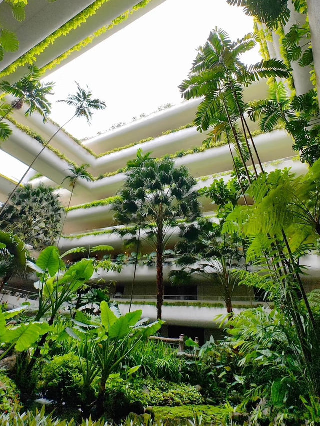 A beautiful visit at the singapore Rasa sentosa resort❤️