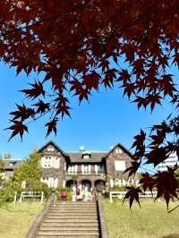 【東京×紅葉🍁スポット巡り】  旧古河庭園  薔薇と紅葉が愛でられる