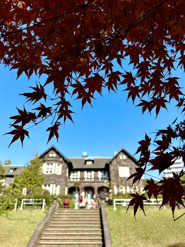 【東京×紅葉🍁探訪】舊古河庭園：欣賞玫瑰和紅葉