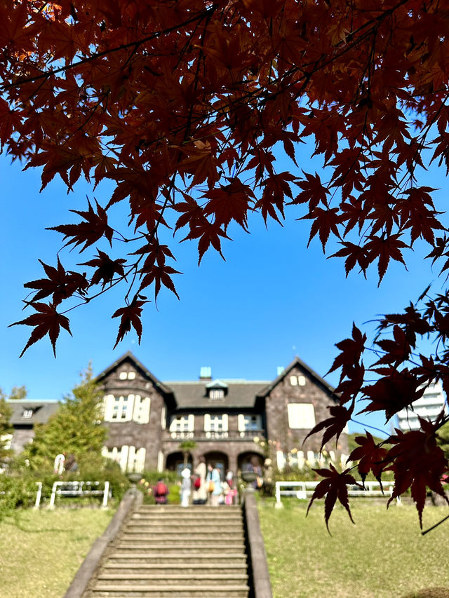 【東京×紅葉🍁スポット巡り】  旧古河庭園  薔薇と紅葉が愛でられる