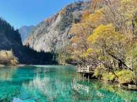The Kaleidoscope of Five Flower Lake: A Visual Feast in Sichuan