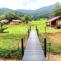 ชมนาขั้นบันไดกลางขุนเขา @บ้านแม่กลางหลวง