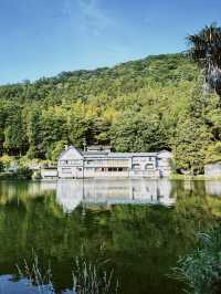 🇯🇵由布院小眾玩法｜田野、單車、美術館🖼️