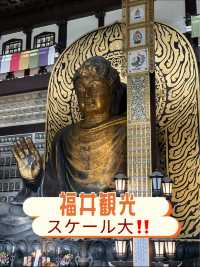 福井観光🏛️一度は見たい必見の越前大仏😳✨