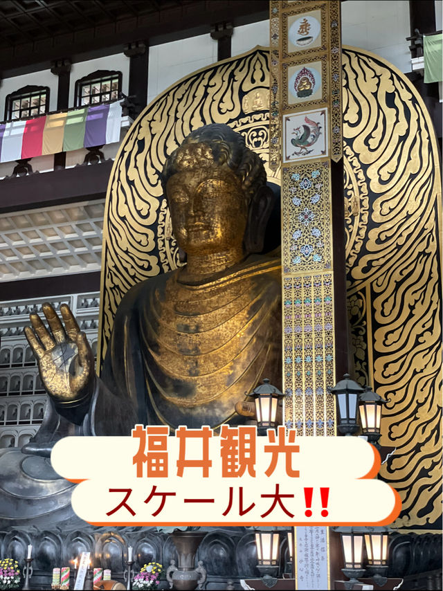 福井観光🏛️一度は見たい必見の越前大仏😳✨
