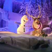 Hong Kong Disneyland a place of smiles