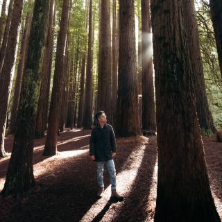 The Waterfalls and Redwoods of Great Otway National Park