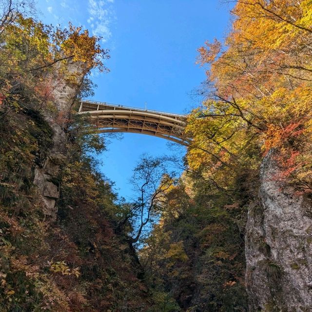 日本東北賞楓：鳴子峽與大深澤橋