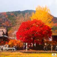 Shirakawa-go