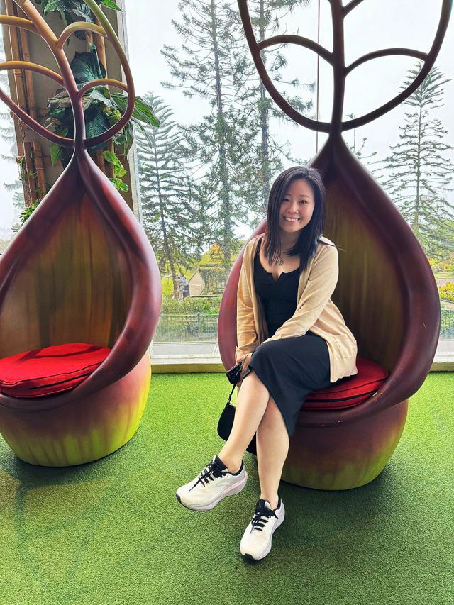 Forest playground in the hotel 🛝