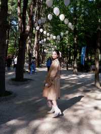 เกาะนามิ