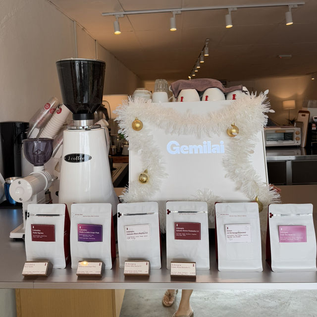 Where Coffee Meets Christmas Magic: Ang Ang’s Roastery Experience