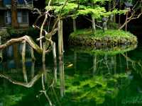 【栃木県】栃木版モネの池！？「出流原弁天池」