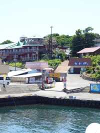 【初島】東京から最短でいける離島🏝️