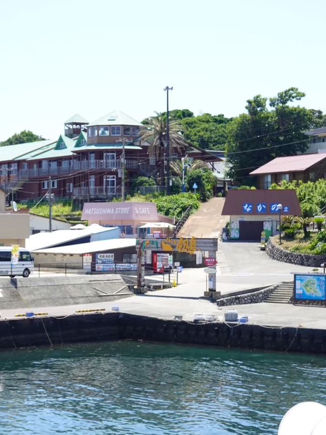 【初島】東京から最短でいける離島🏝️